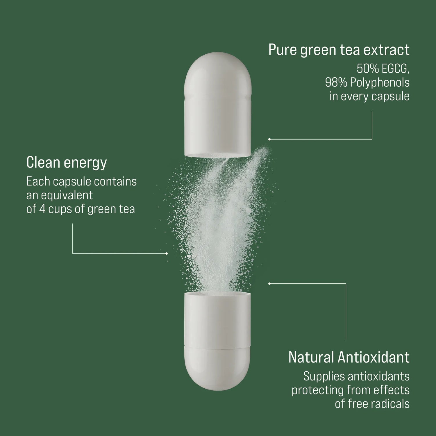 Green Tea Extract Capsules